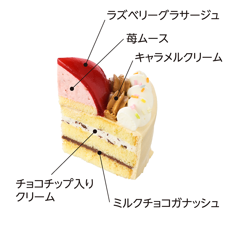 ＜ディズニー＞ハッピーセレブレーション （4.5号）