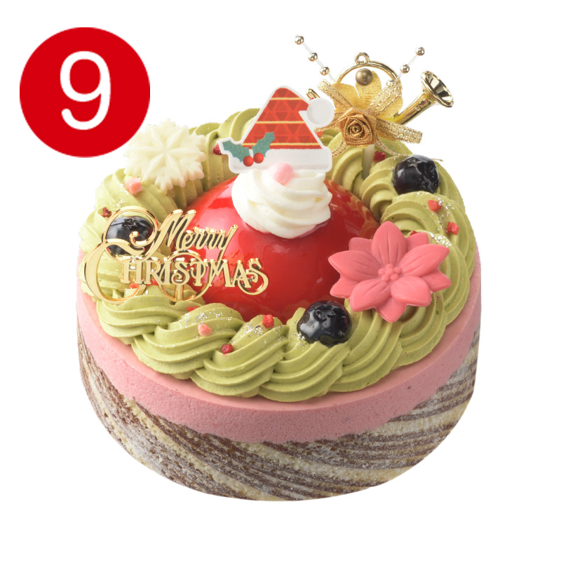 【9】ピスタチオベリース4.5号