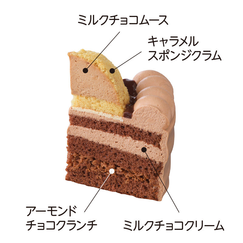 【6】 早割  くまさんのチョコレートケーキ（4.5号）