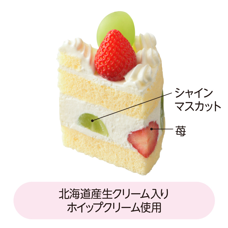 【A】シャインマスカットと苺のデラックスクリスマス4.5号